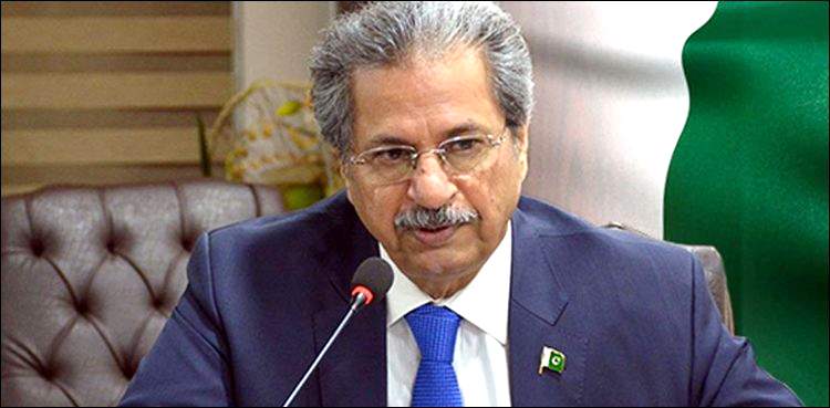 shafqat mehmood