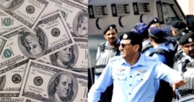 dollar mafia