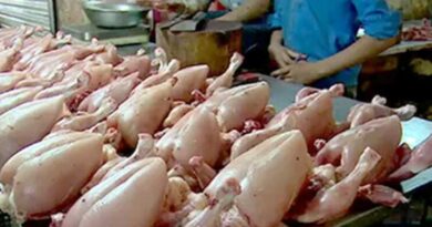 Chicken meat