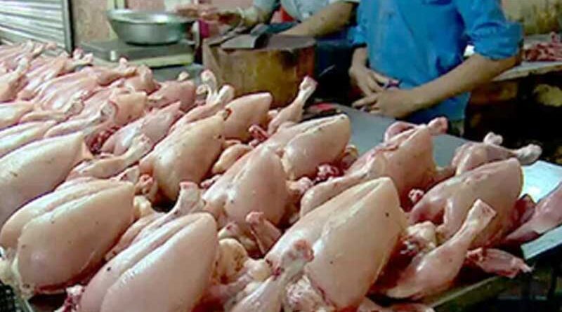Chicken meat