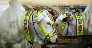 Eid al Adha