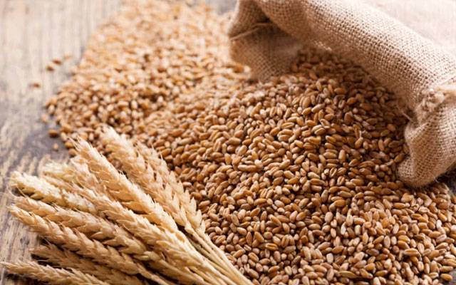 balochistan-wheat-transport-ban-2-months
